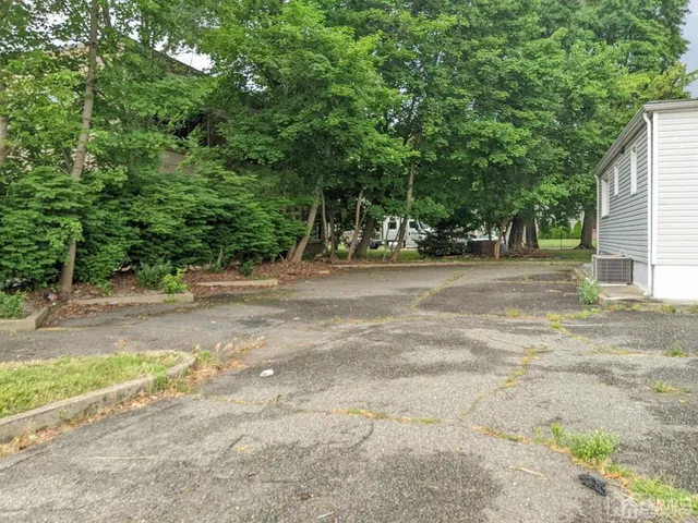 a view of a yard with plants and trees