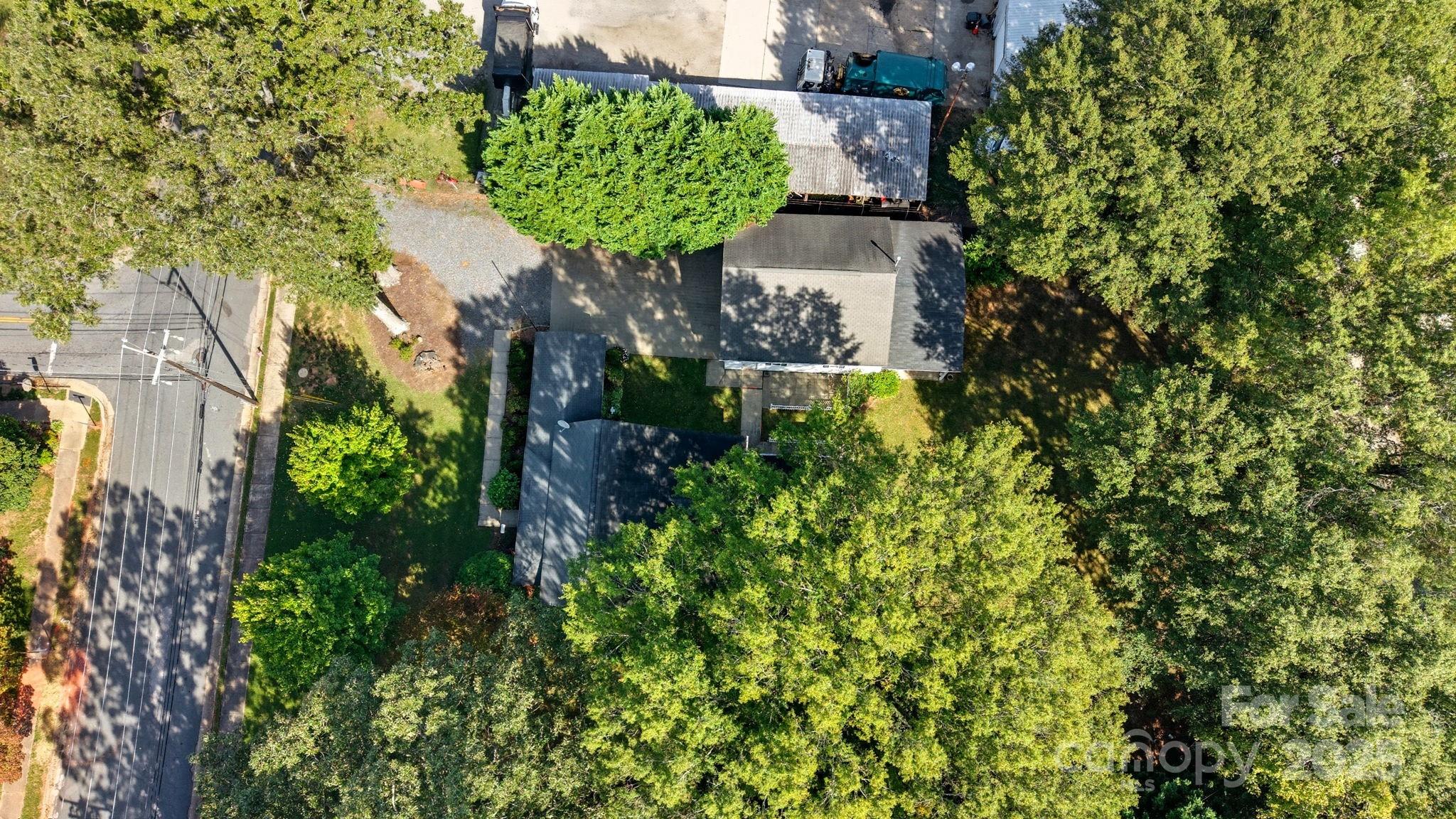 210 Smith Street Clover, SC 29710 - Photo 32 of 33 a picture of a tree