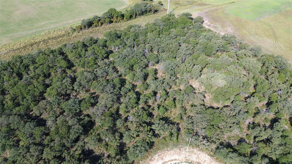 507 Ken Road Tolar, TX 76476 - Photo 3 of 4 a view of a forest with a lush green forest