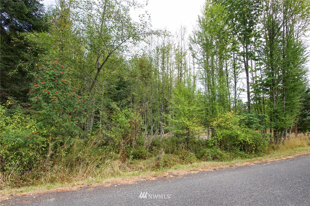231 Simmons Road Port Angeles, WA 98362 - Photo 13 of 26 Gallery Image 13