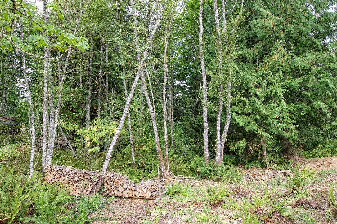 231 Simmons Road Port Angeles, WA 98362 - Photo 8 of 26 Gallery Image 8