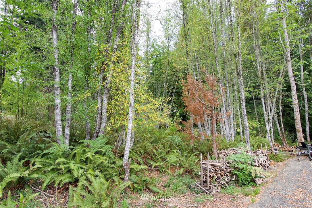 231 Simmons Road Port Angeles, WA 98362 - Photo 9 of 26 Gallery Image 9