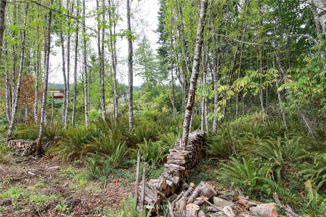 231 Simmons Road Port Angeles, WA 98362 - Photo 10 of 26 Gallery Image 10