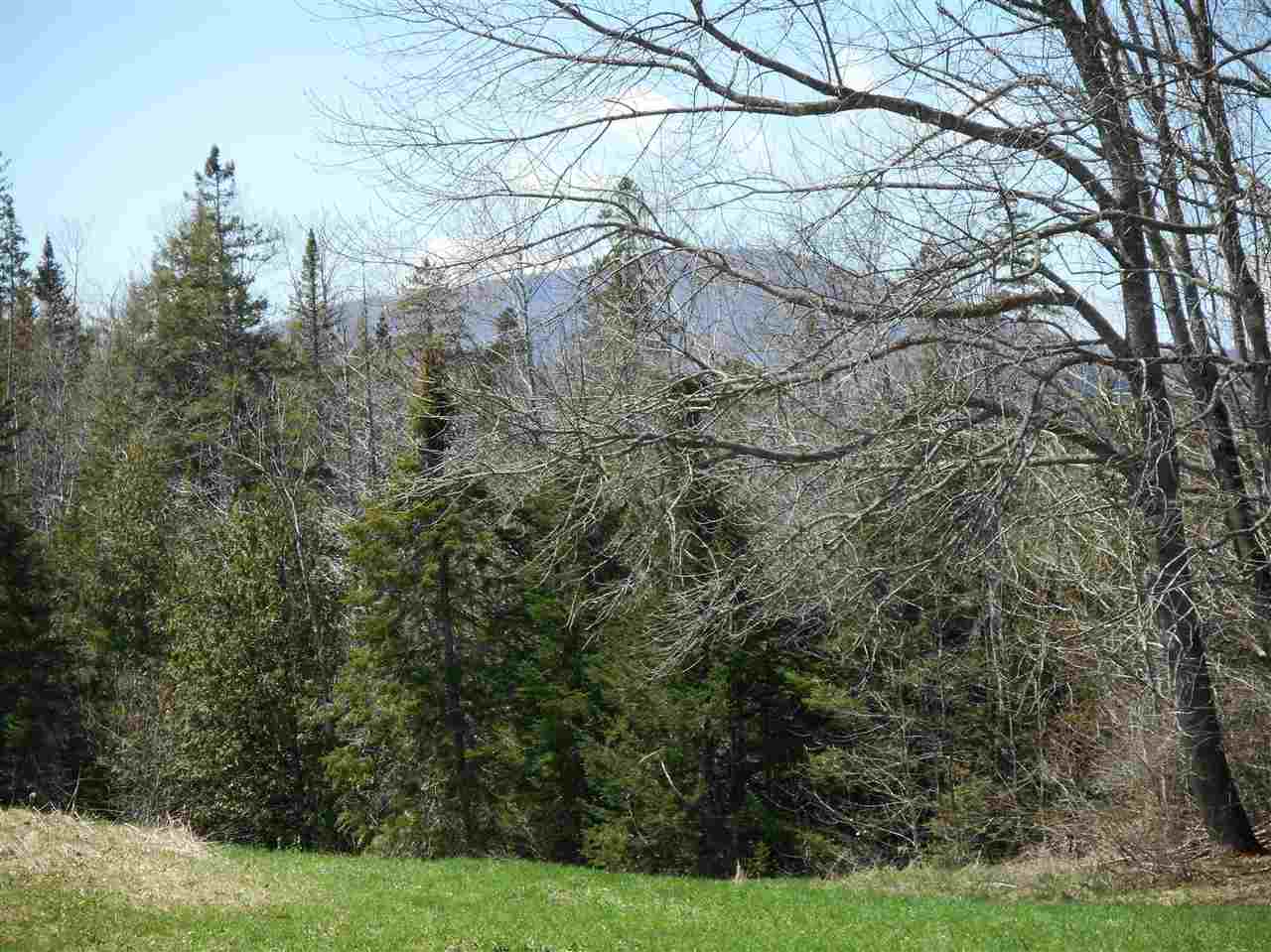 Lot 54.3 Center Road Hardwick, VT 05843 - Photo 14 of 15