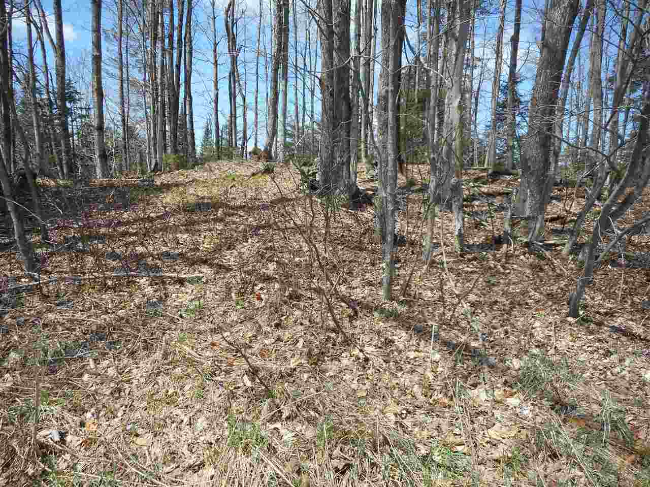 Lot 54.3 Center Road Hardwick, VT 05843 - Photo 9 of 15