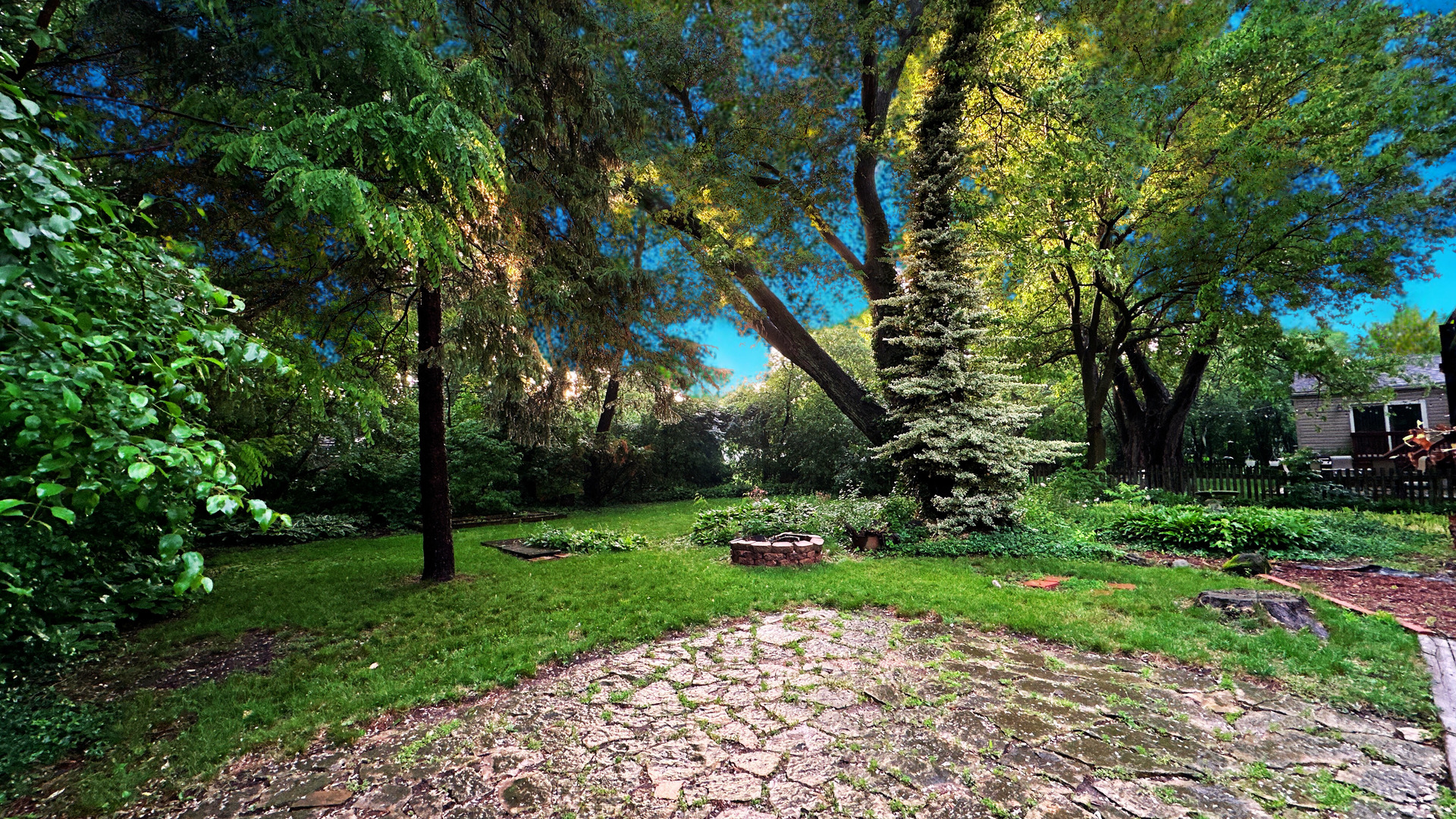 18210 Perth Avenue Homewood, IL 60430 - Photo 22 of 23 a view of a park with a tree