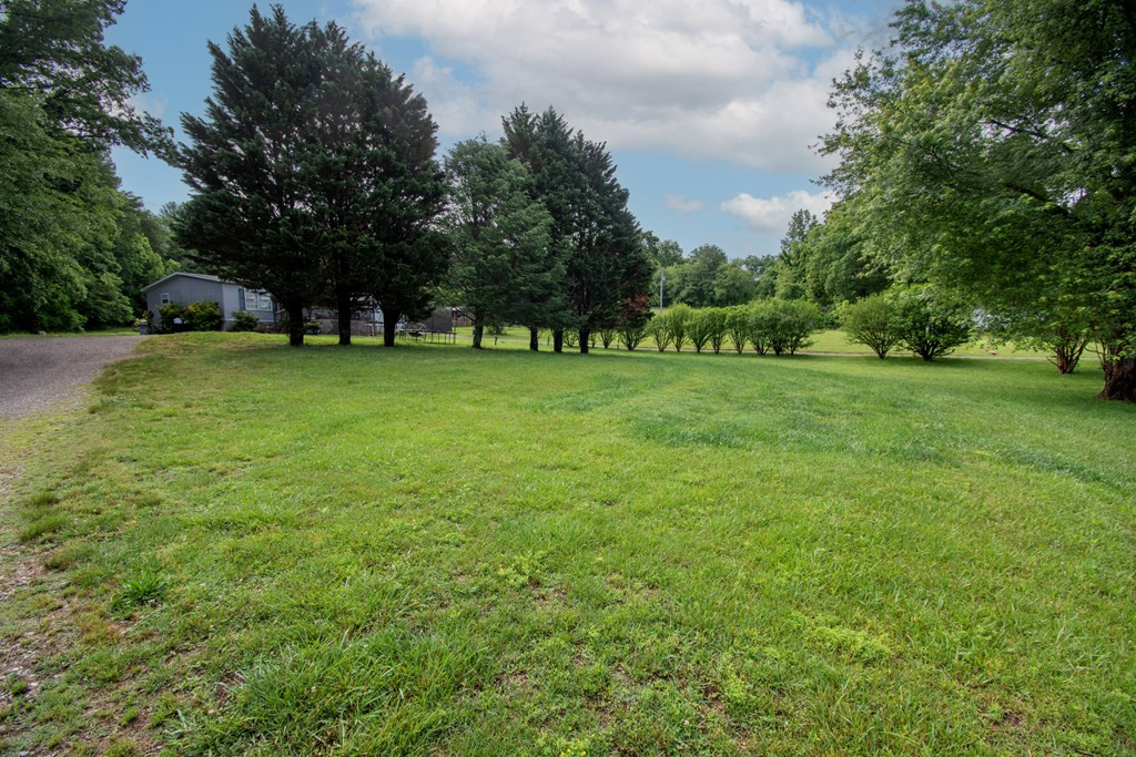 434 Creamery Road Brasstown, NC 28902 - Photo 5 of 29
