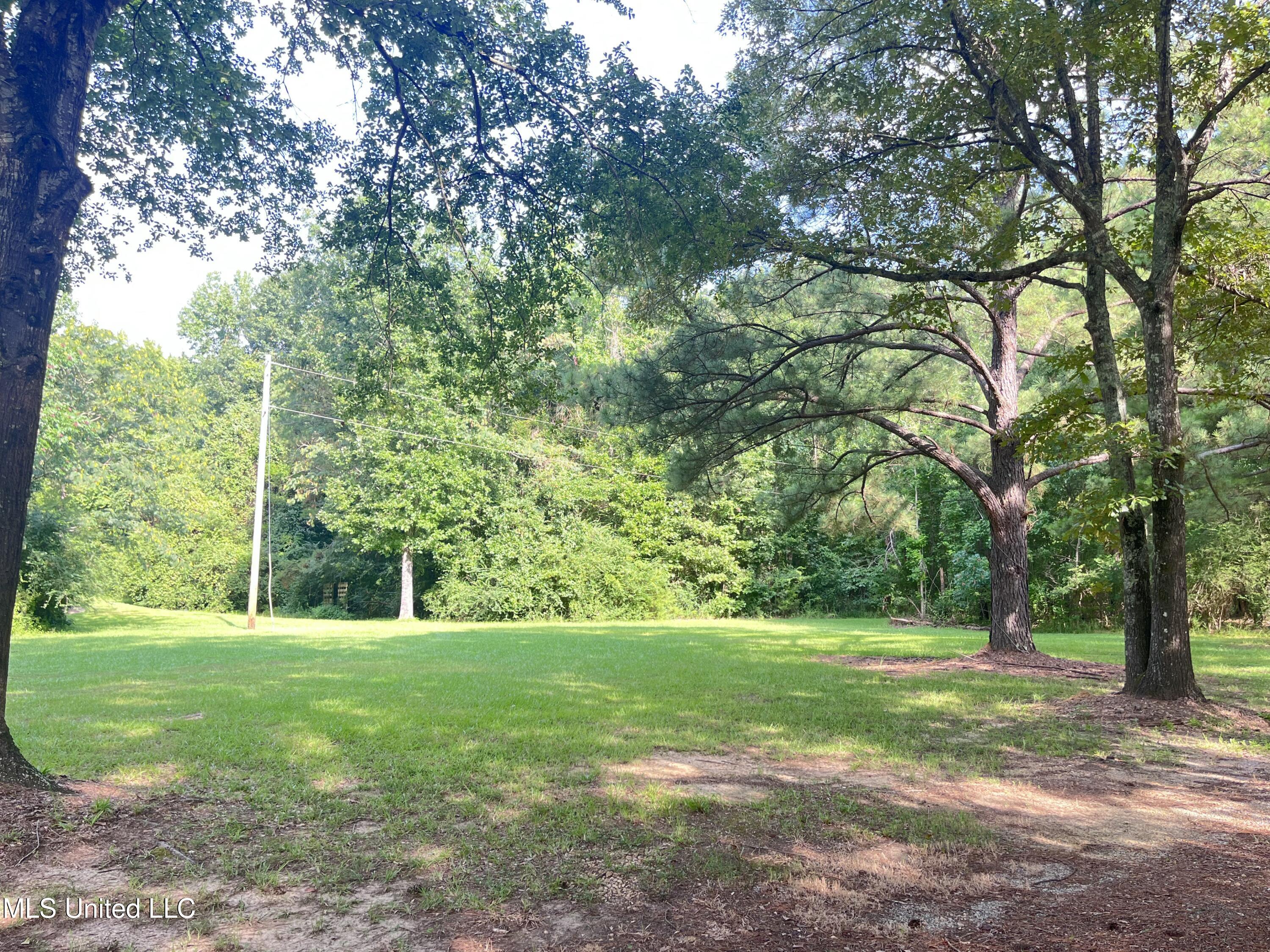 297 Barnes Road Florence, MS 39073 - Photo 169 of 170 IMG_8481