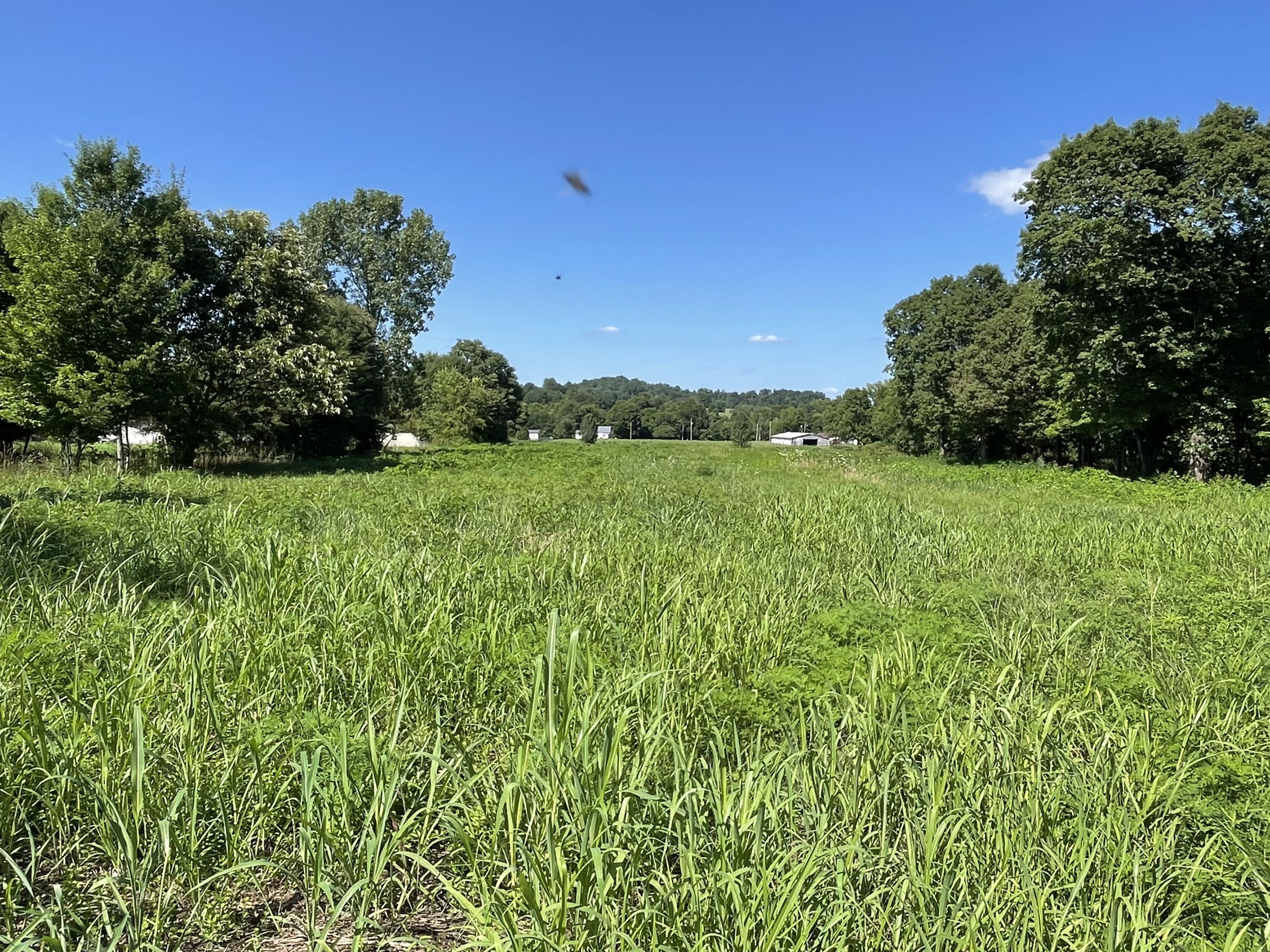 0 Corby Bridge Road Chuckey, TN 37641 - Photo 4 of 9 A887EC4F-D4D5-442C-A868-F2589BF85DFF