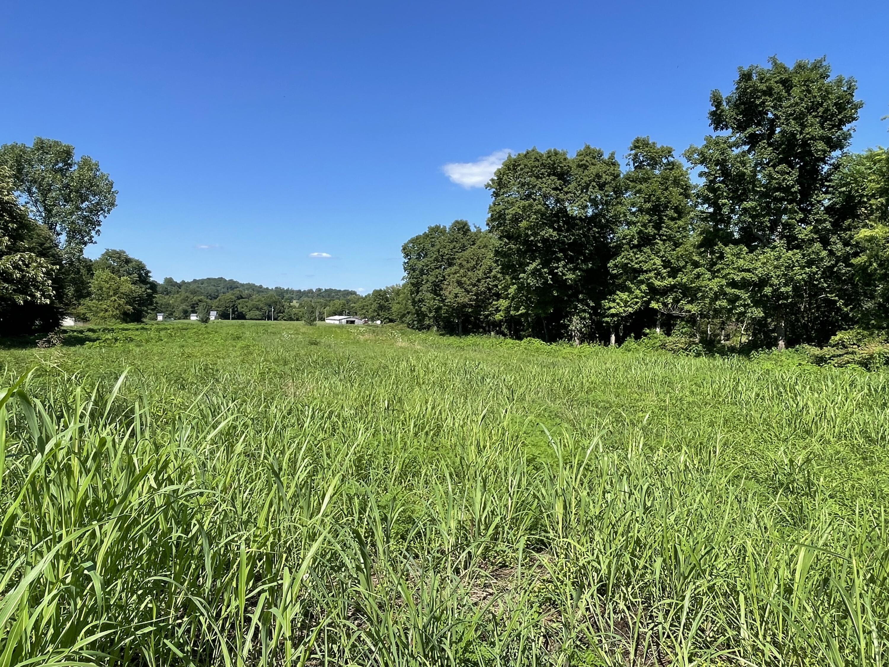 0 Corby Bridge Road Chuckey, TN 37641 - Photo 5 of 9 68CB2ABA-B5F6-4225-9BDE-BD08D5911144