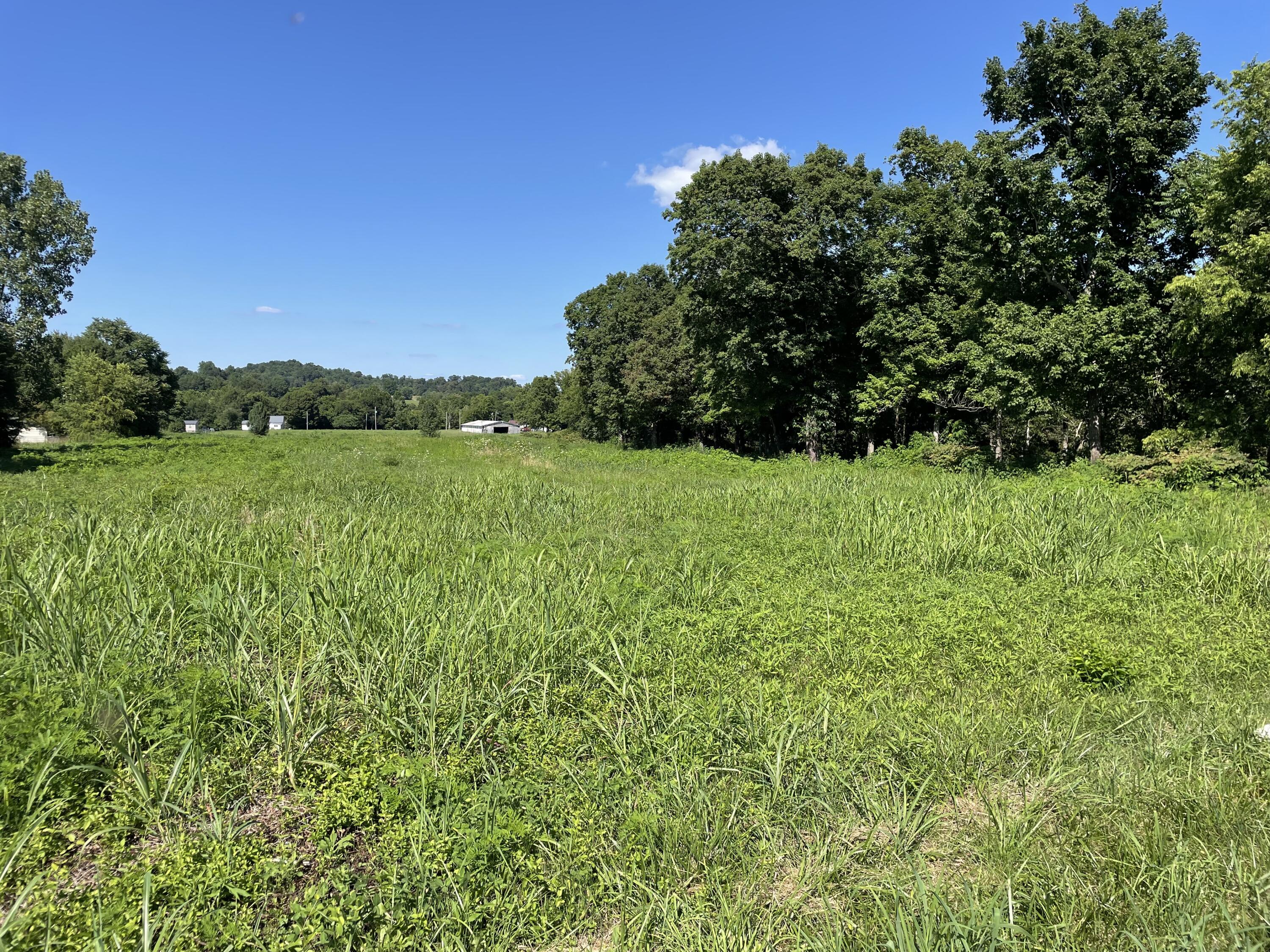 0 Corby Bridge Road Chuckey, TN 37641 - Photo 8 of 9 B68732BC-F910-412A-8CC5-567F6AB1A46F