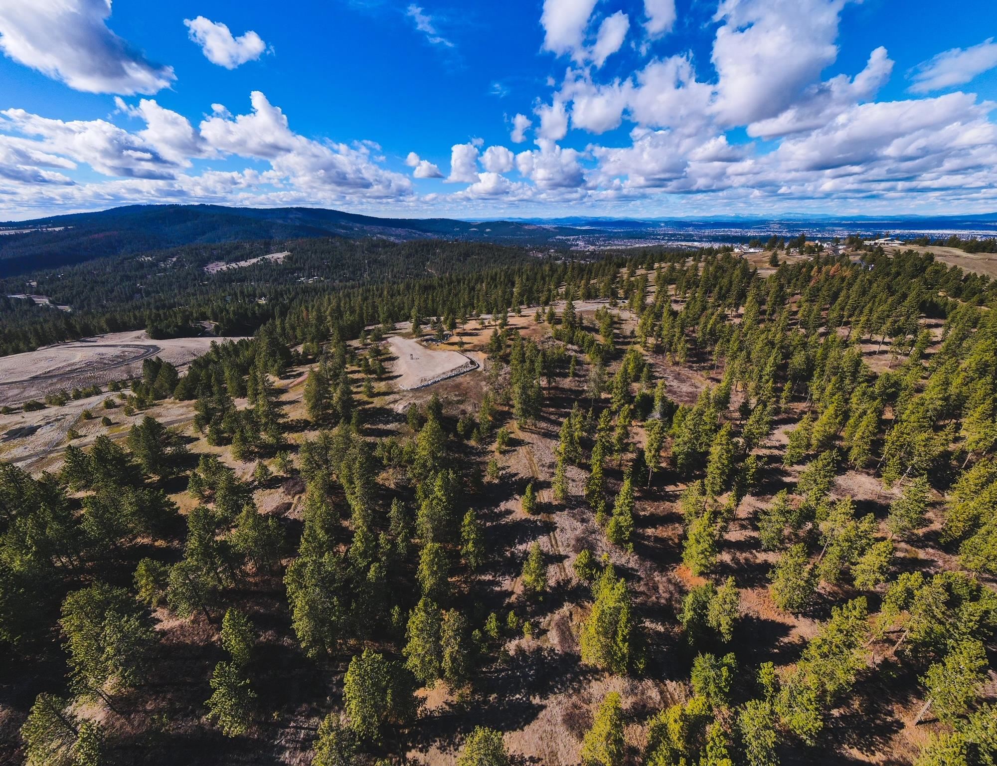 1393 East Hunters Rdg Lane Spokane, WA 99206 - Photo 1 of 11