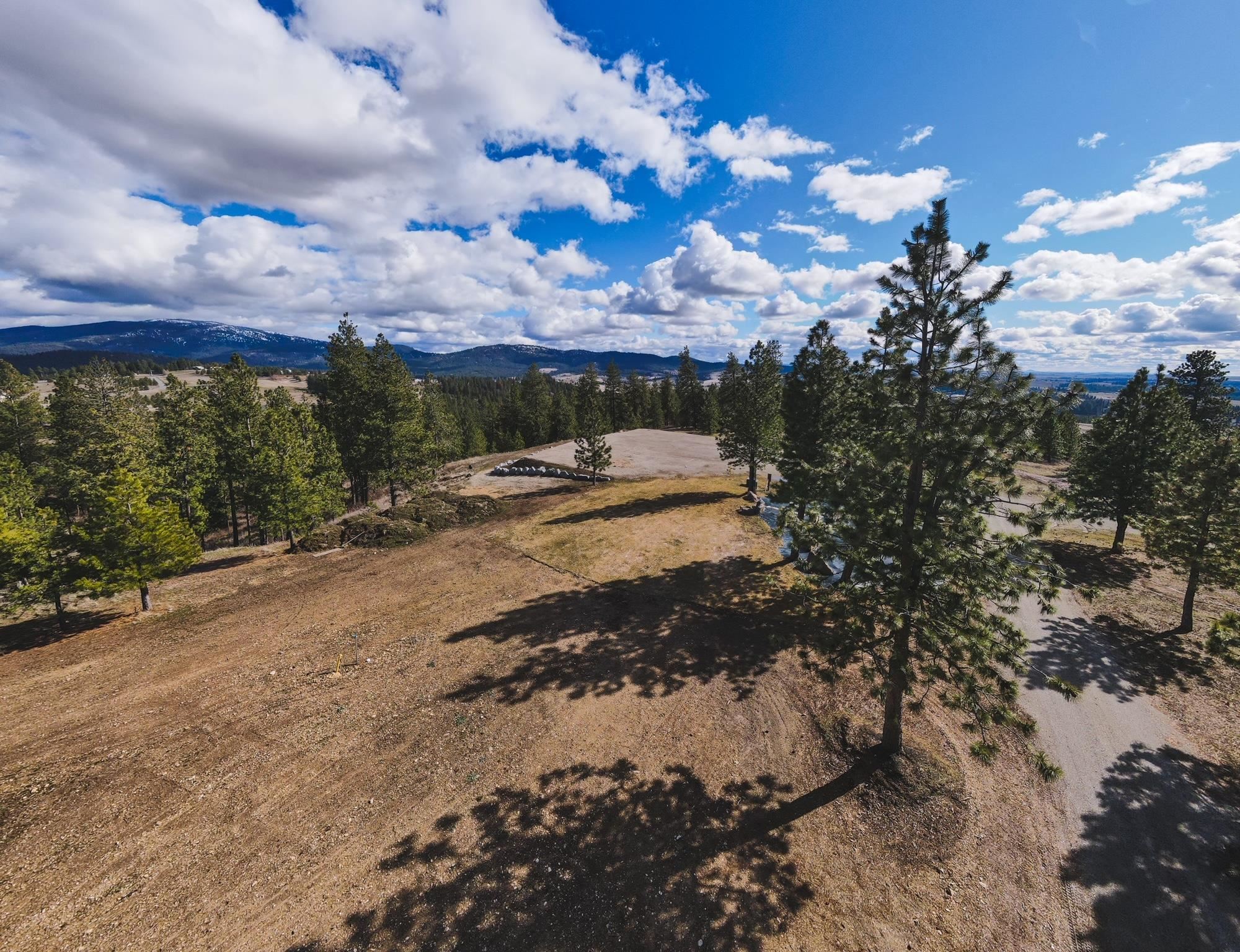 1393 East Hunters Rdg Lane Spokane, WA 99206 - Photo 2 of 11