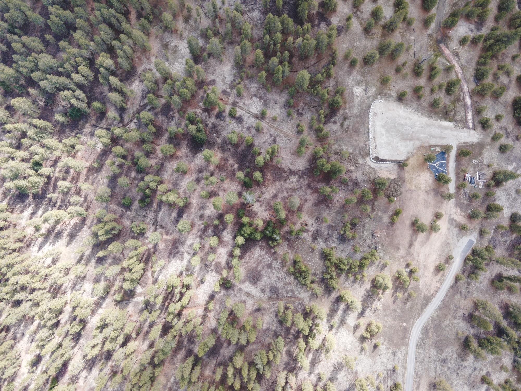 1393 East Hunters Rdg Lane Spokane, WA 99206 - Photo 10 of 11