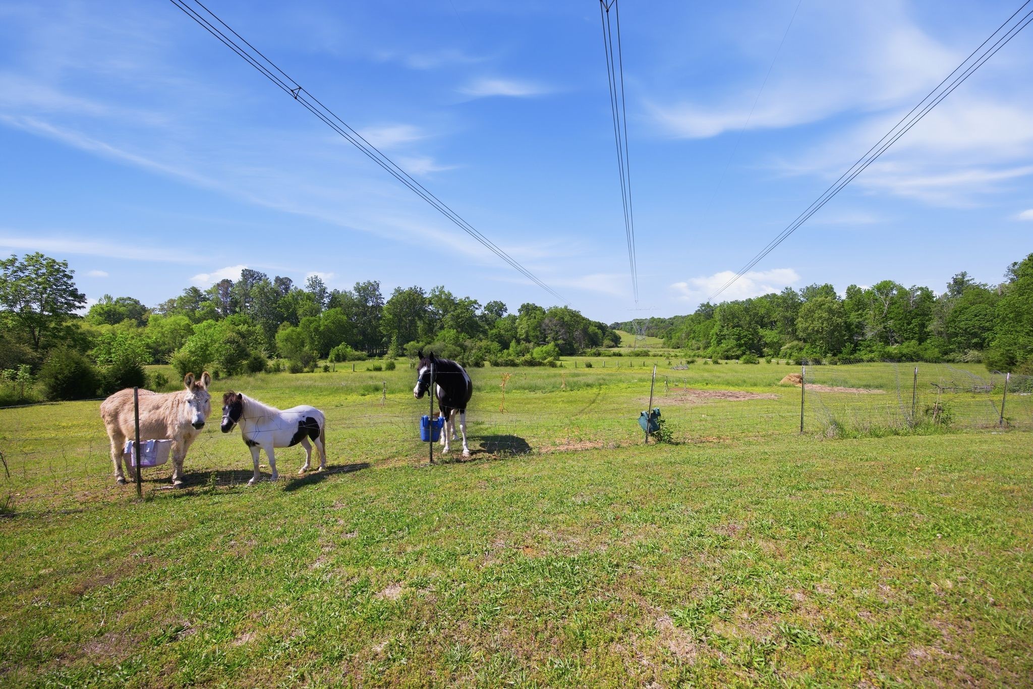 5975 Grasshopper Road Birchwood, TN 37308 - Photo 12 of 48
