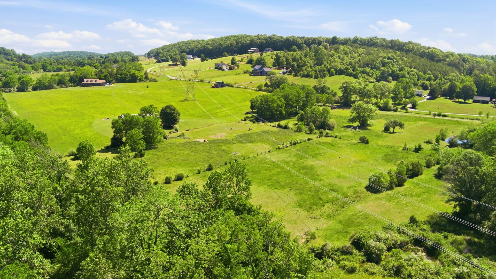 5975 Grasshopper Road Birchwood, TN 37308 - Photo 47 of 48
