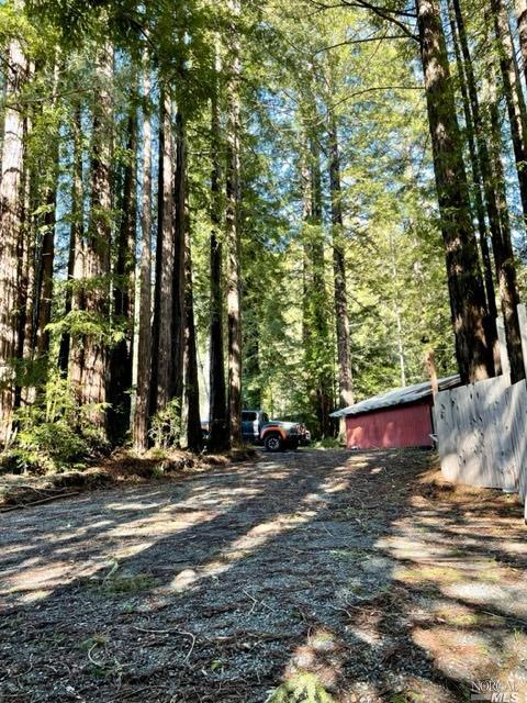 a view of a yard with plants