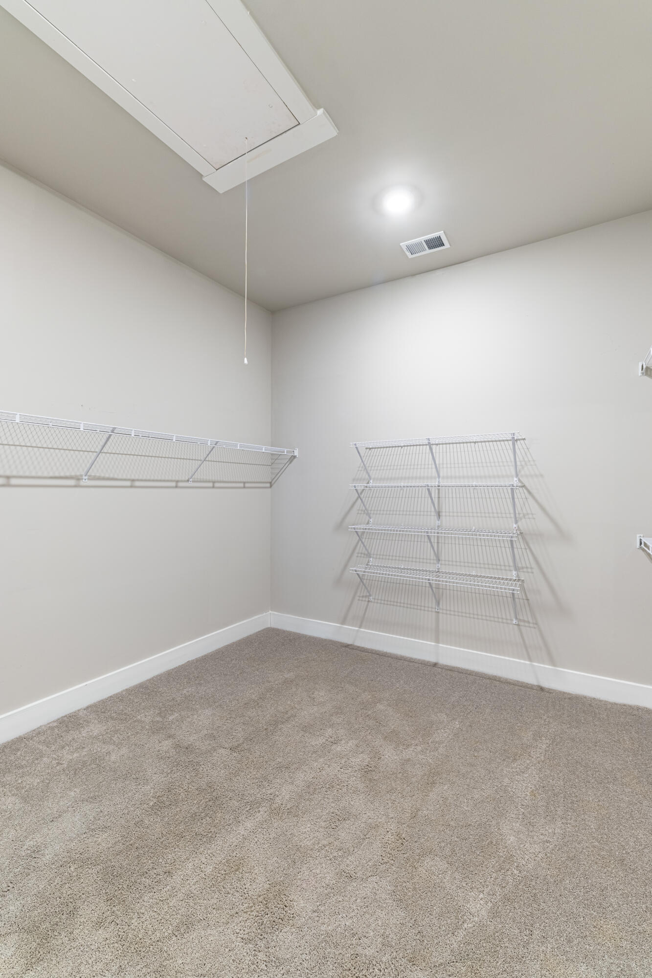8768 Snowy Owl Road Ooltewah, TN 37363 - Photo 22 of 35 MBDRM - Closet1