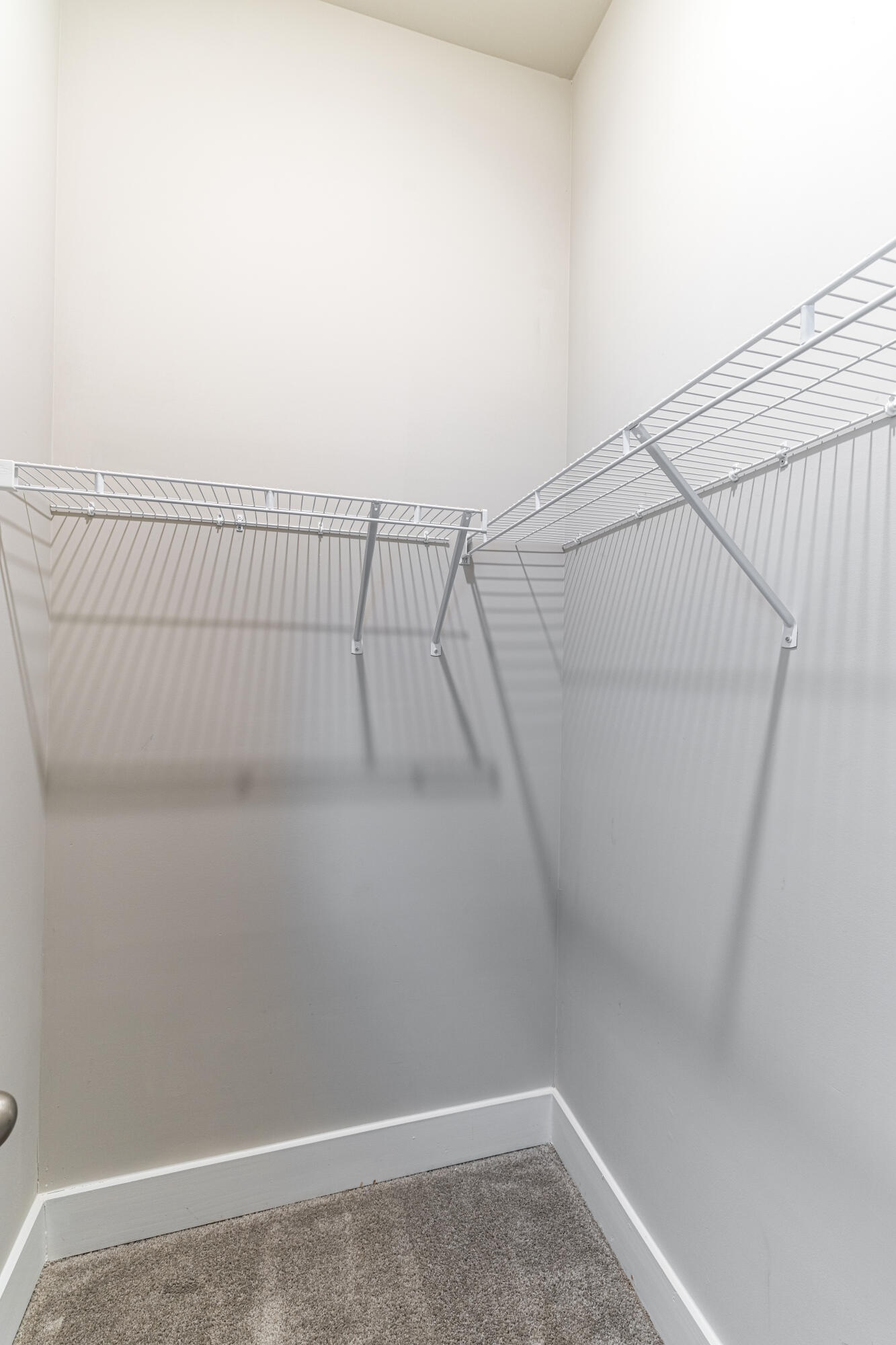 8768 Snowy Owl Road Ooltewah, TN 37363 - Photo 28 of 35 BDRM2 - Closet