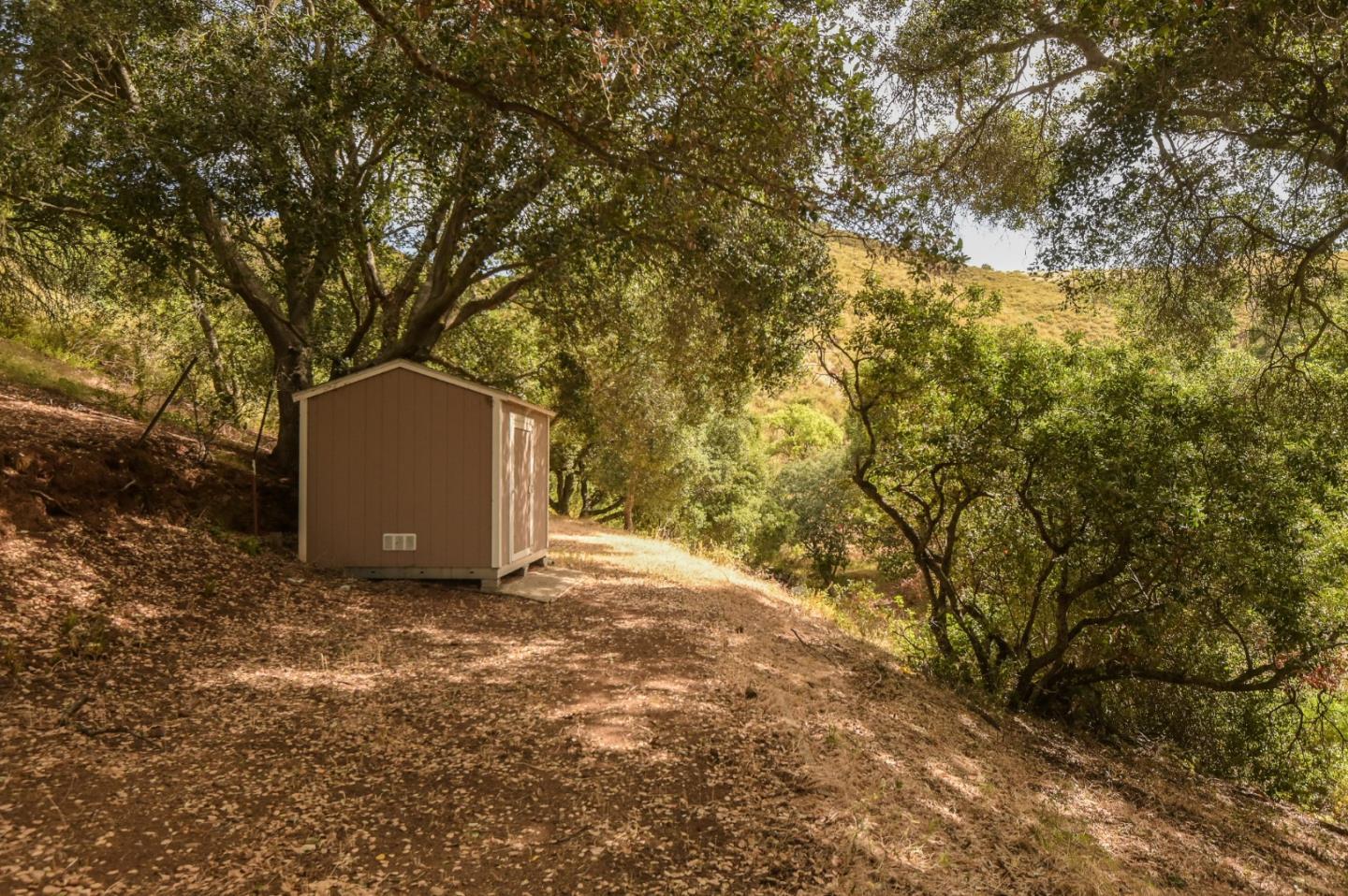 15223 Perry Lane Morgan Hill, CA 95037 - Photo 30 of 31 a view of a tree with a yard