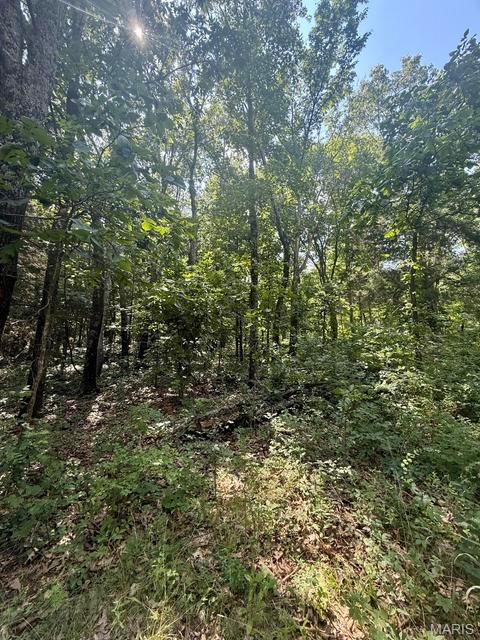 10595 Mill Road Bucyrus, MO 65444 - Photo 26 of 34