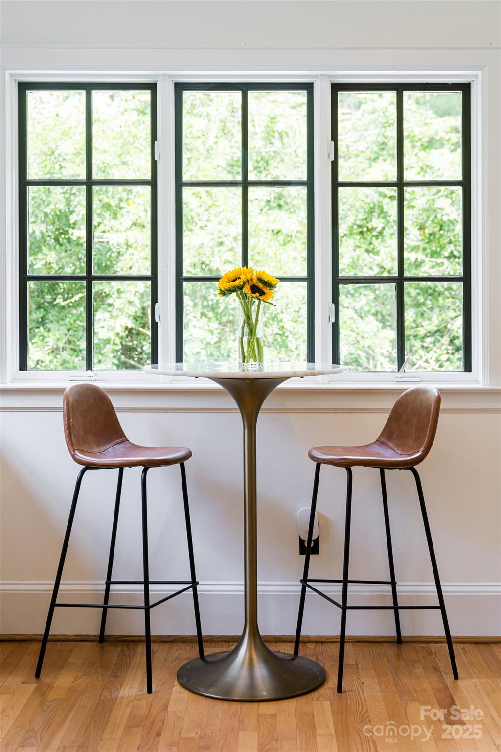 3 Lone Pine Road Biltmore Forest, NC 28803 - Photo 11 of 47