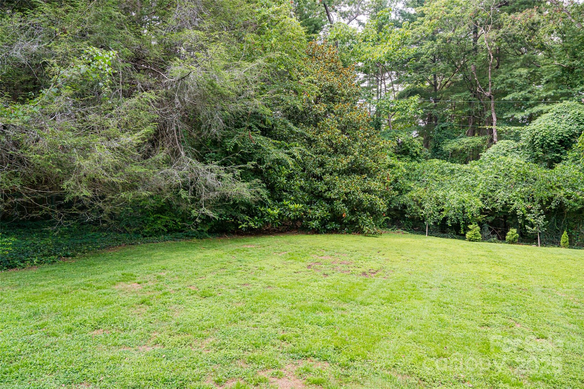 3 Lone Pine Road Biltmore Forest, NC 28803 - Photo 30 of 47 a view of a green yard