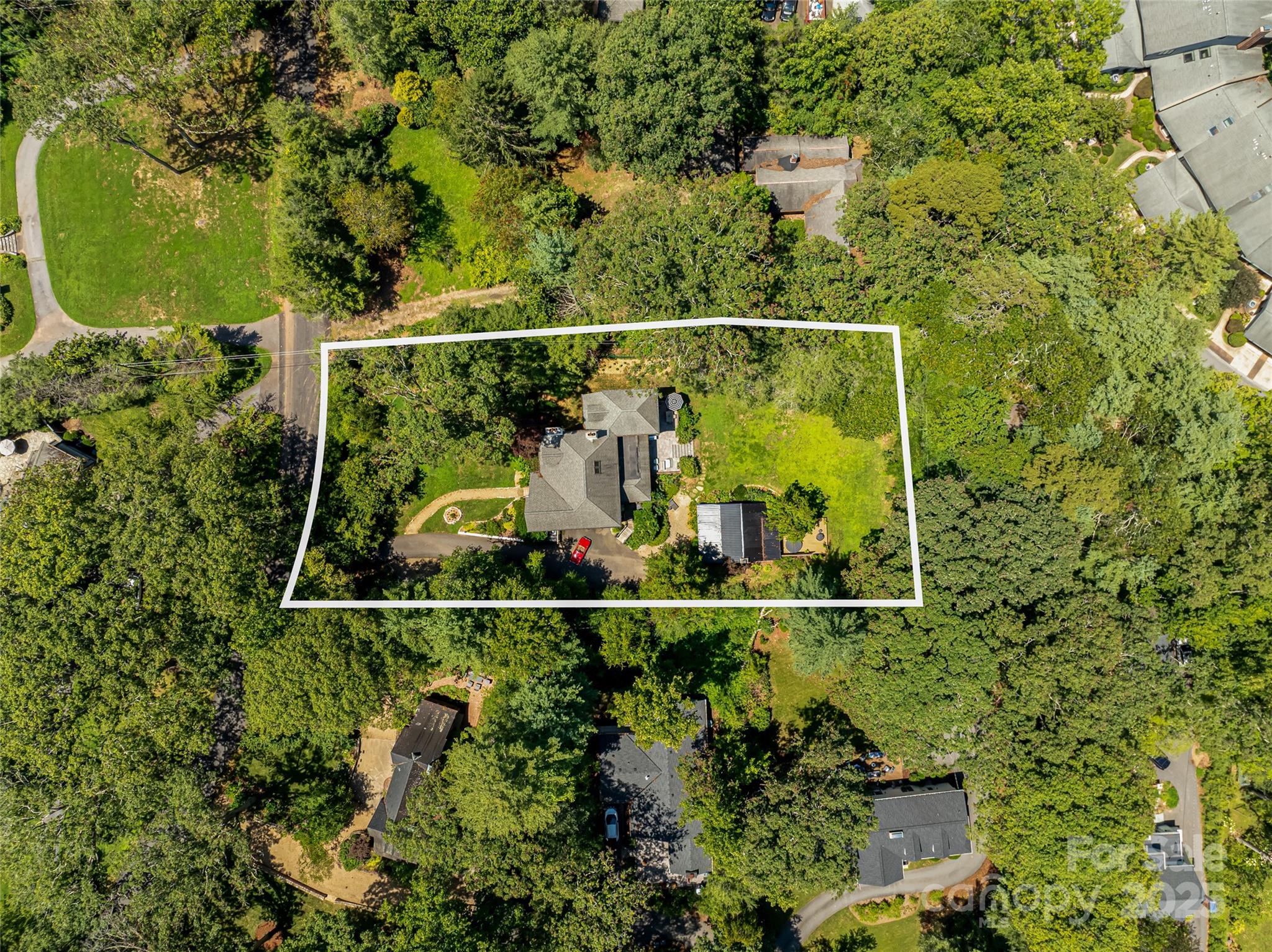 3 Lone Pine Road Biltmore Forest, NC 28803 - Photo 46 of 47 a view of a forest