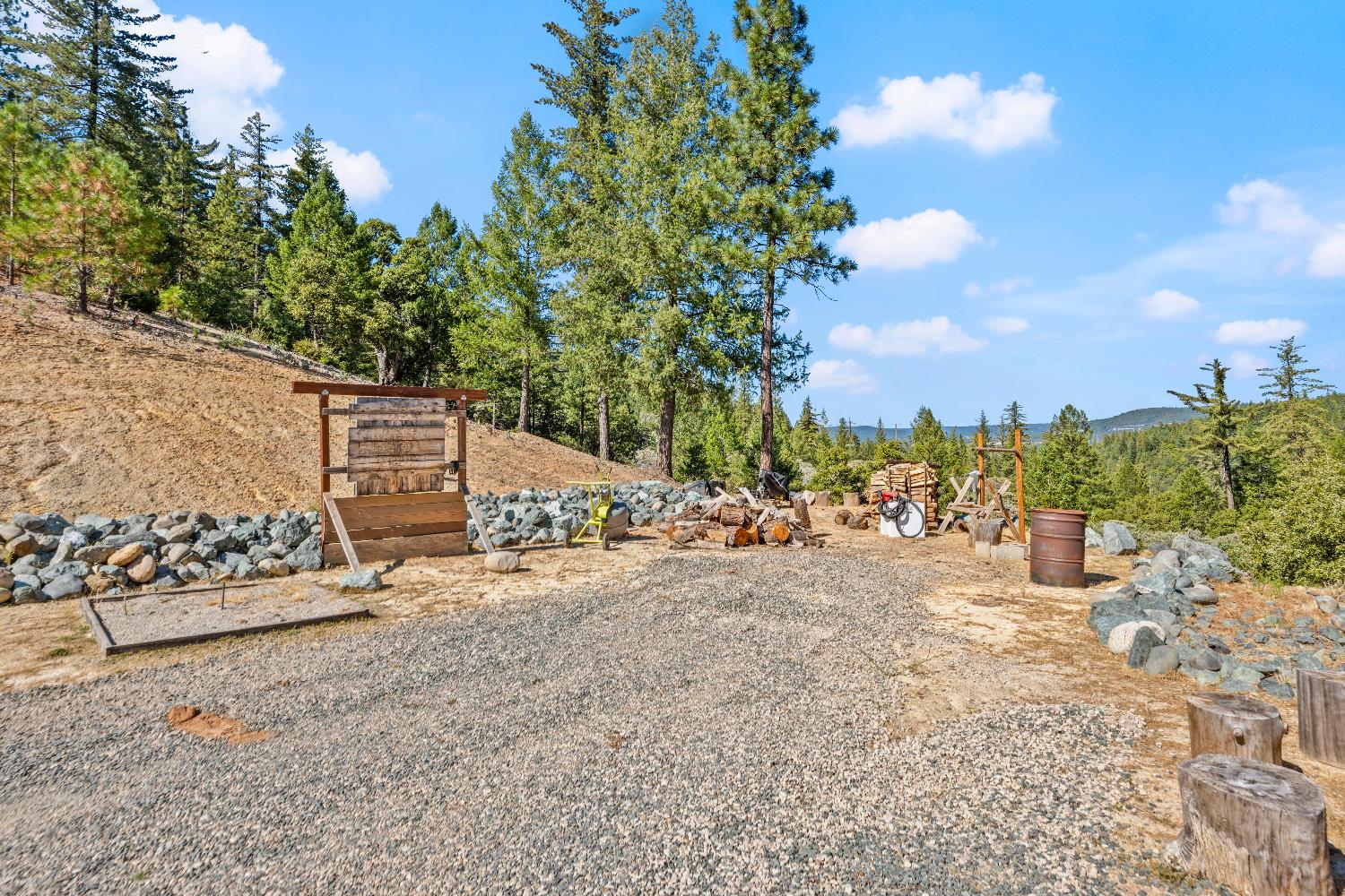 29115 Secret Town Road Colfax, CA 95713 - Photo 44 of 82 a view of a yard with plants and trees