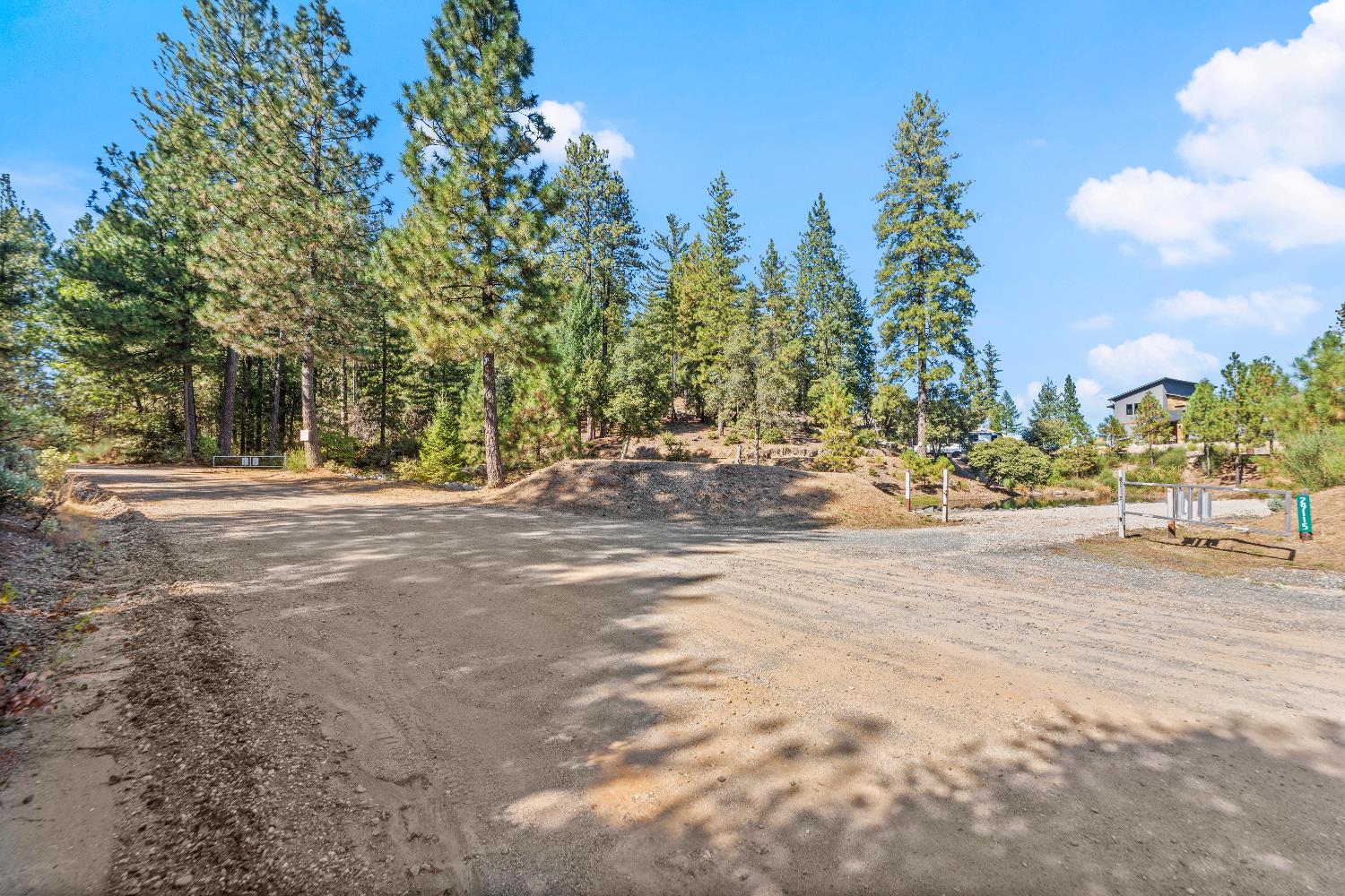 29115 Secret Town Road Colfax, CA 95713 - Photo 61 of 82 a view of road with trees