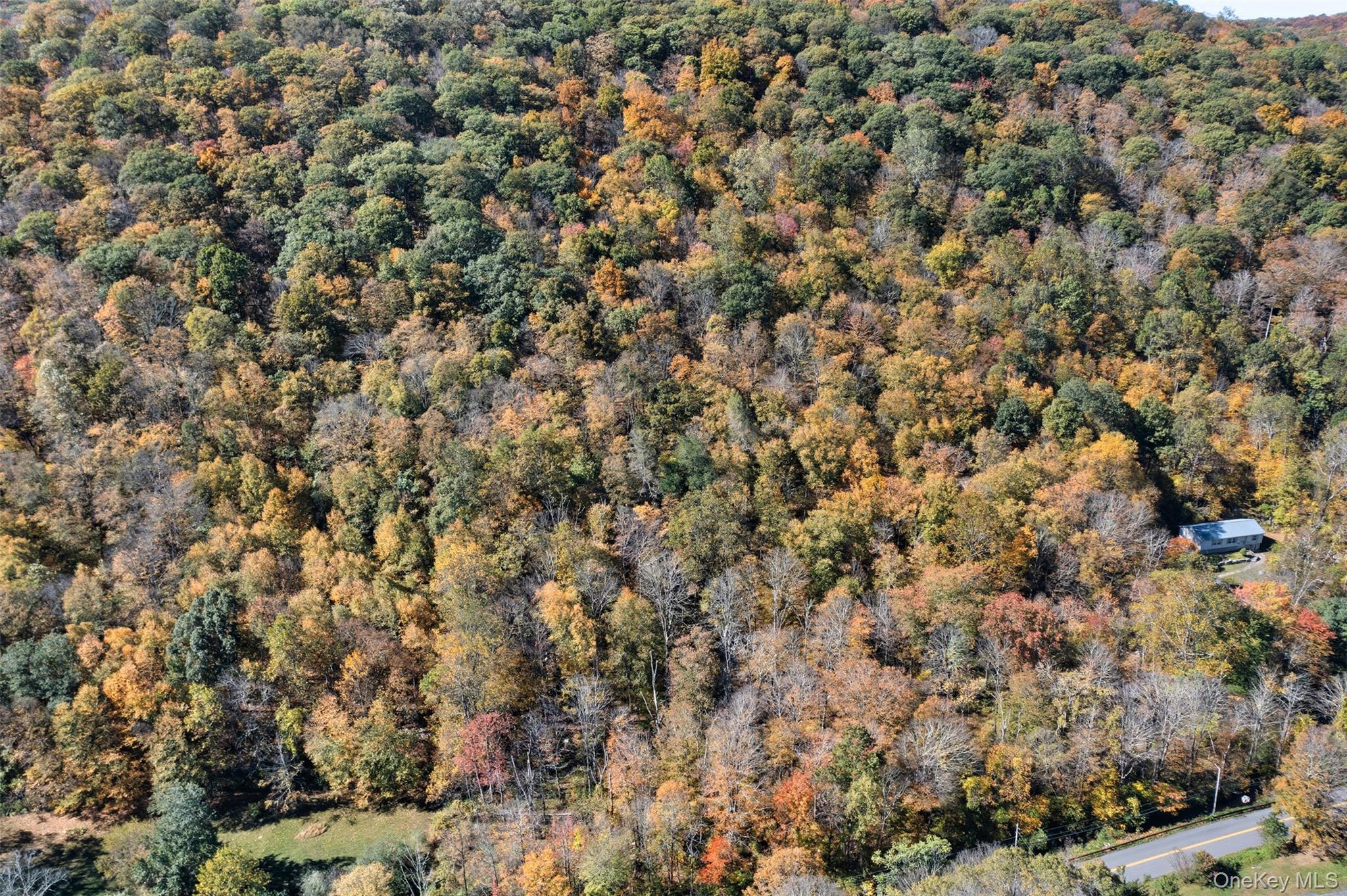 Wiccopee Road Putnam Valley, NY 10579 - Photo 3 of 16 Aerial view of property's location