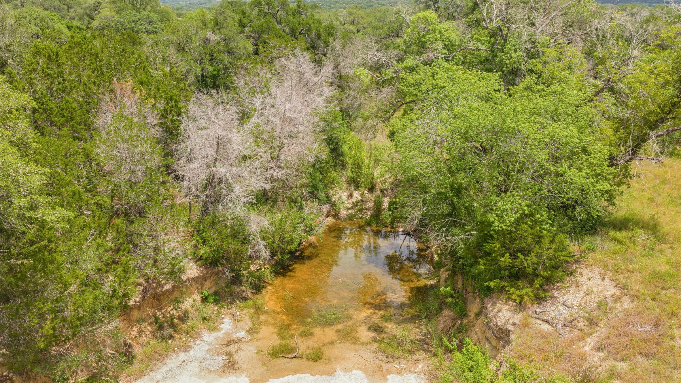 505 Red Corral Ranch Road Wimberley, TX 78676 - Photo 9 of 40 Natural spring water flows through a verdant, tree-lined landscape.