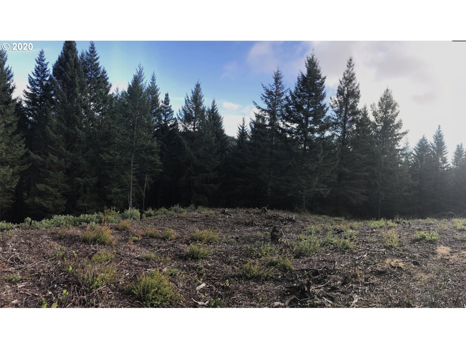 18908 Timeus Ranch Road Brookings, OR 97415 - Photo 3 of 21