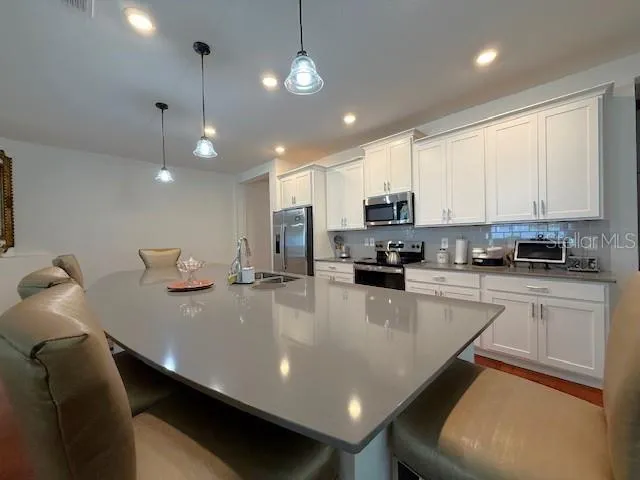 $560,000 | 6084 Claystone Way, Mount Dora, FL 32757