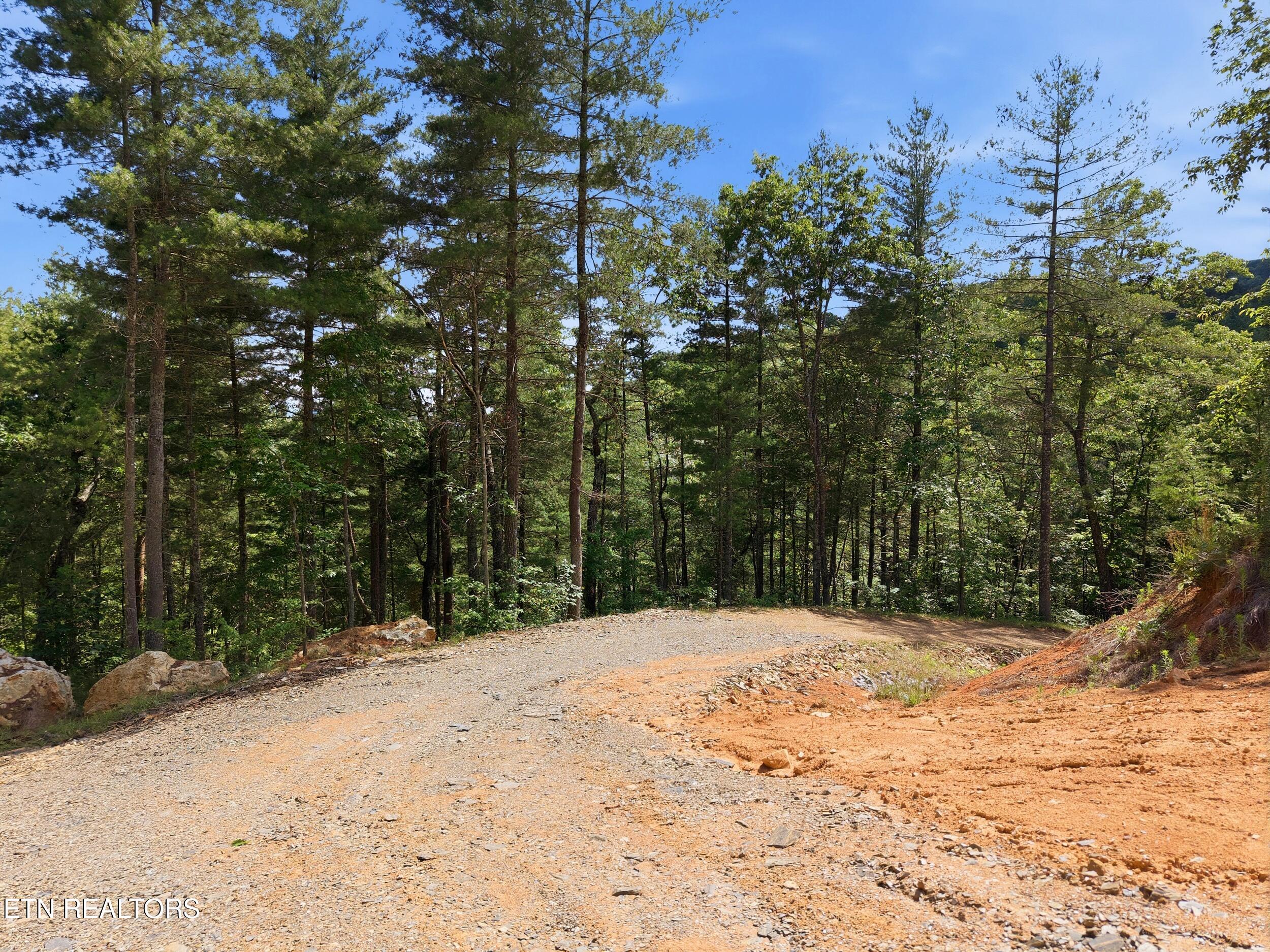 909 The Loop Road Walland, TN 37886 - Photo 22 of 32 19_909_the_loop_rd_0016