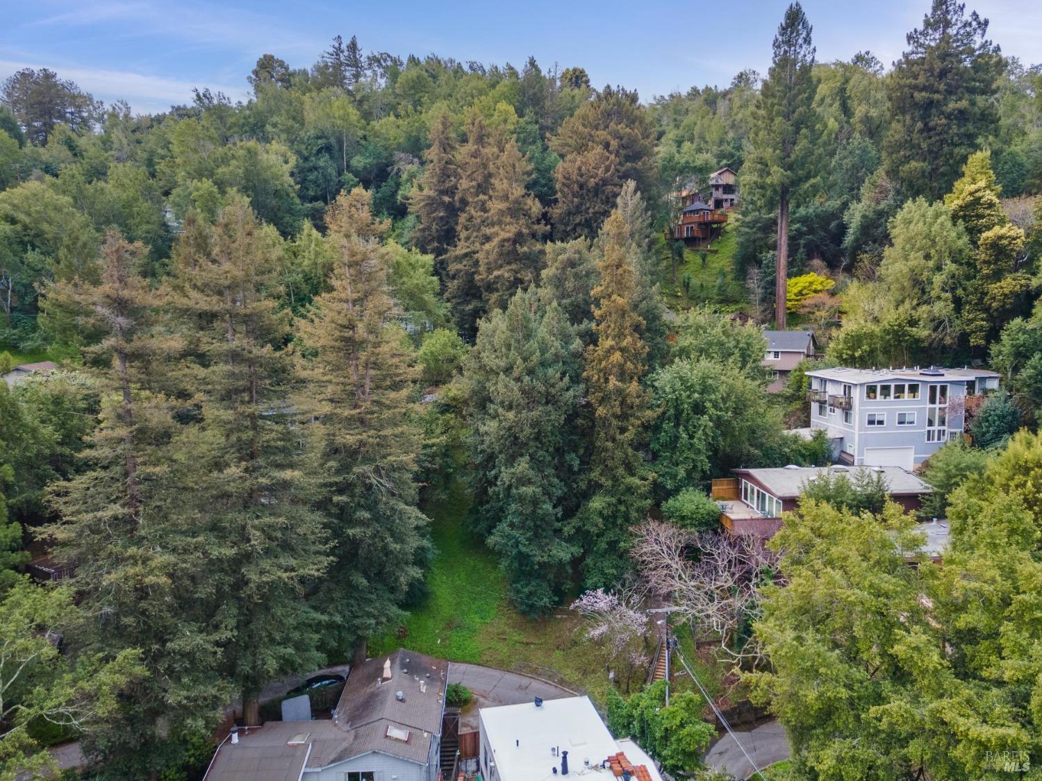 54 Fremont Road San Rafael, CA 94901 - Photo 12 of 15