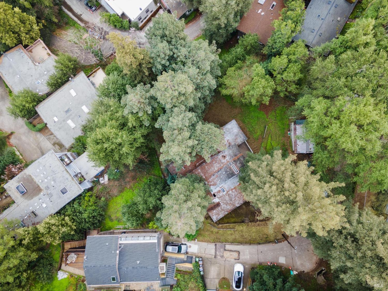54 Fremont Road San Rafael, CA 94901 - Photo 14 of 15