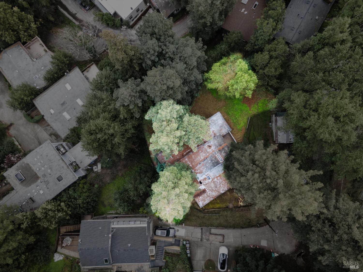 54 Fremont Road San Rafael, CA 94901 - Photo 15 of 15
