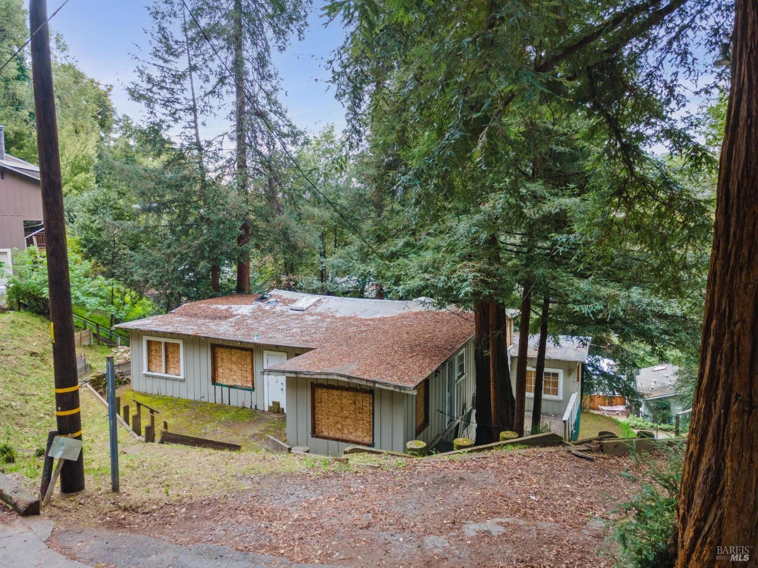 54 Fremont Road San Rafael, CA 94901 - Photo 3 of 15