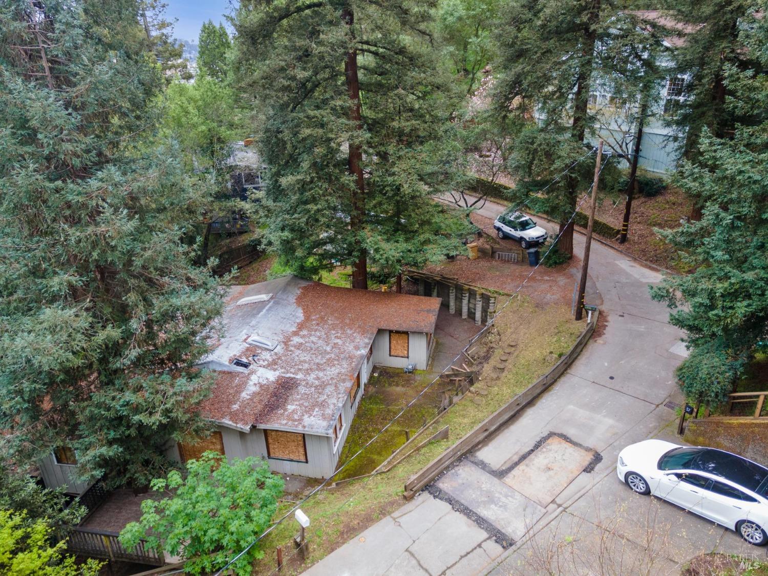 54 Fremont Road San Rafael, CA 94901 - Photo 5 of 15