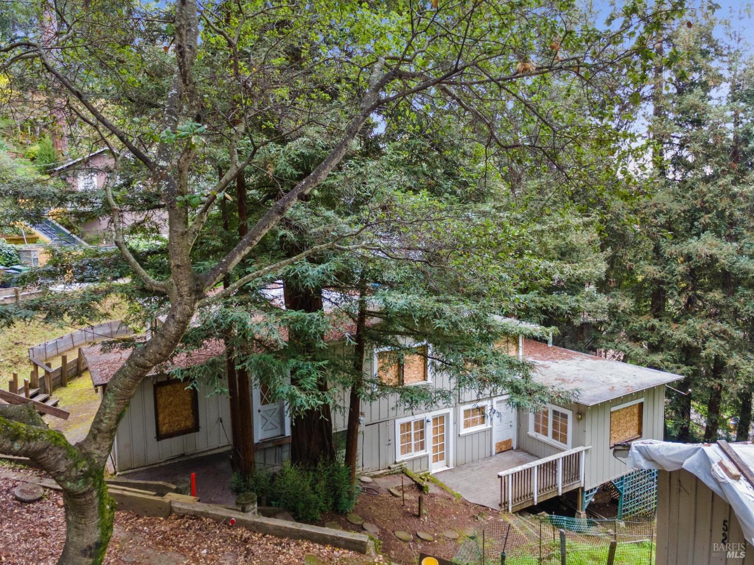 54 Fremont Road San Rafael, CA 94901 - Photo 6 of 15