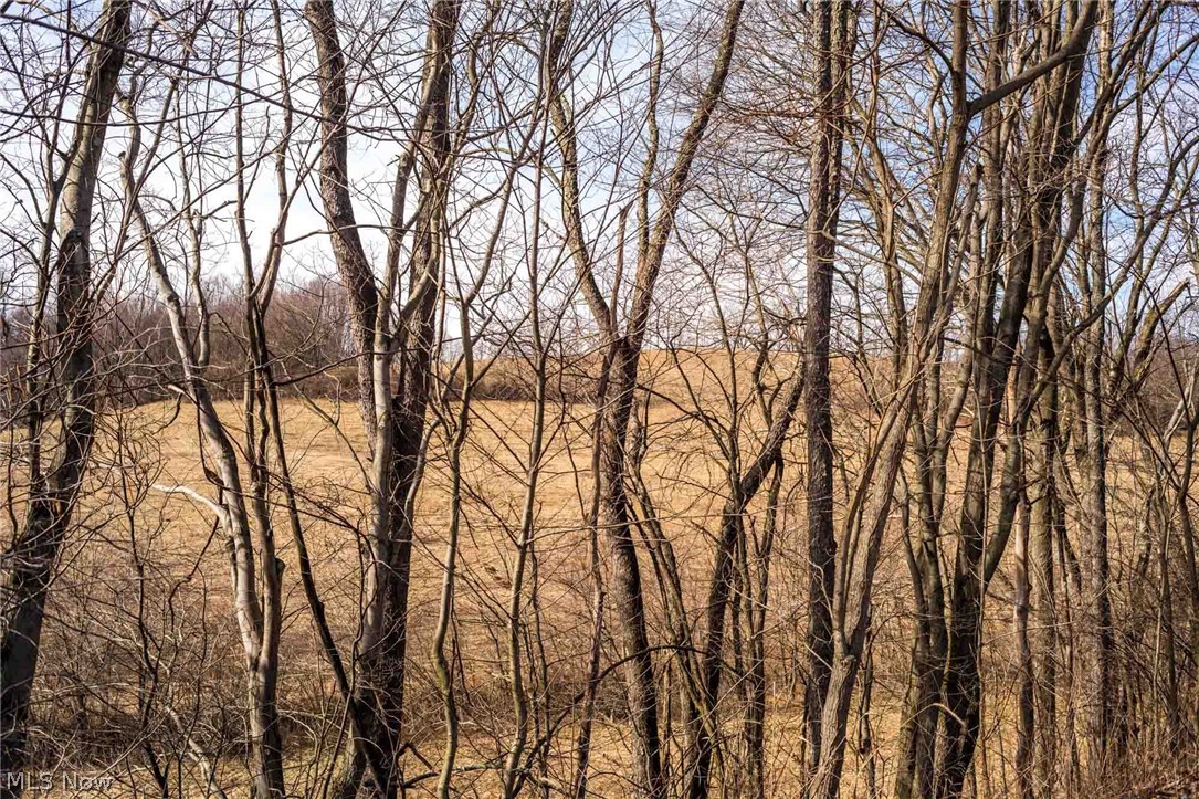 5379 Mizer Road Newcomerstown, OH 43832 - Photo 5 of 31 Gallery Image 5