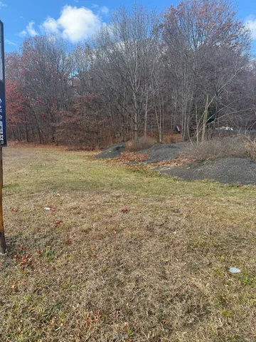 a view of a yard with trees