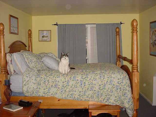 163 Shaker Road Albany, NY 12211 - Photo 3 of 8 Photo 3