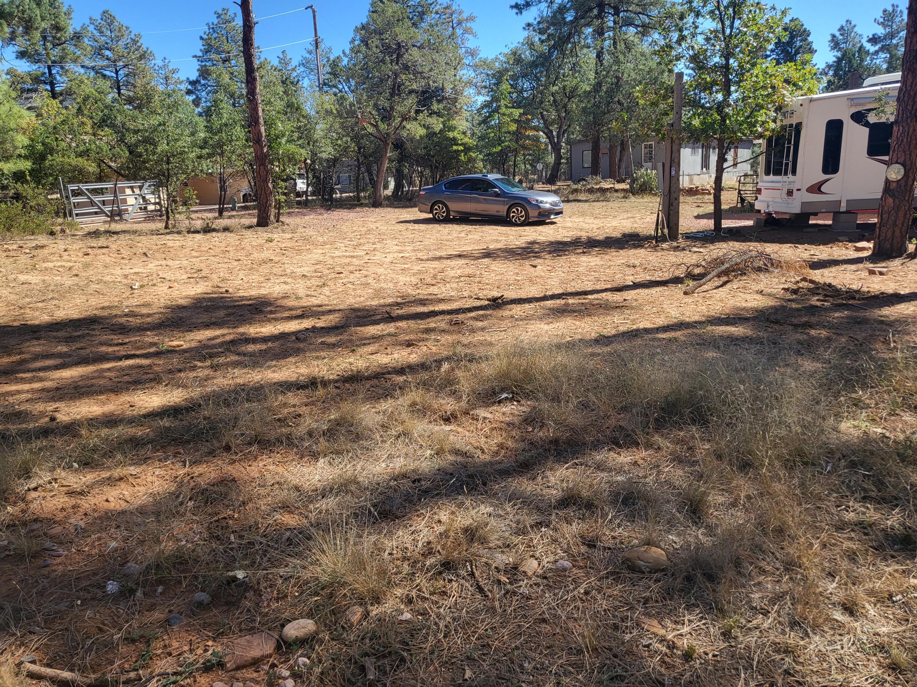 3962 Pine Road Pine, AZ 85544 - Photo 11 of 35 Gallery Image 11