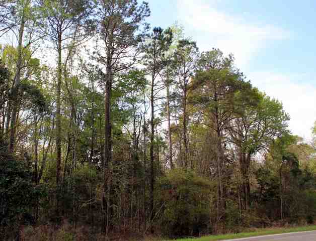 0 New River Road Murrells Inlet, SC 29576 - Photo 2 of 2 Gallery Image 2