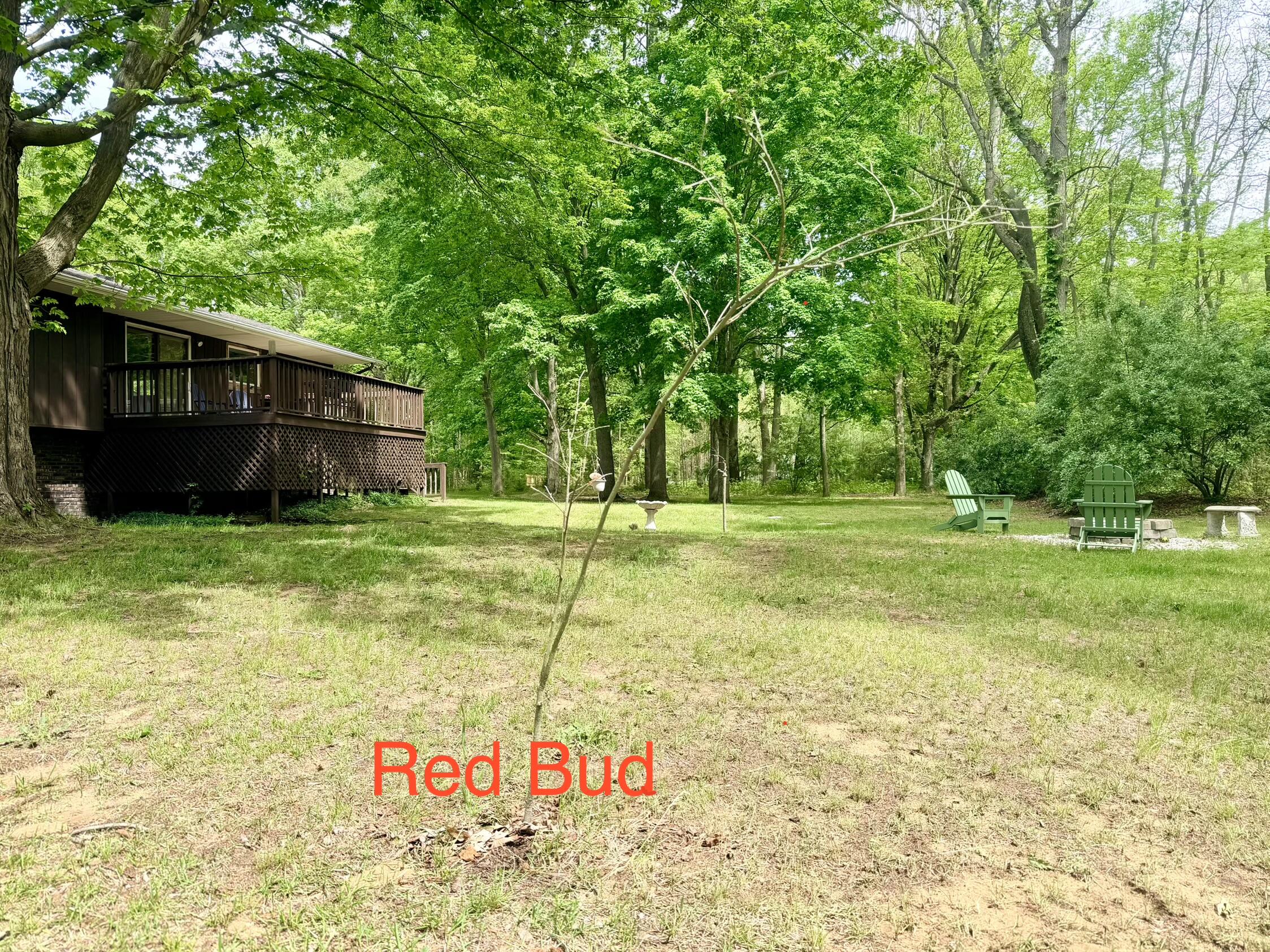 13953 Minnich Road Sawyer, MI 49125 - Photo 53 of 56 IMG_7714