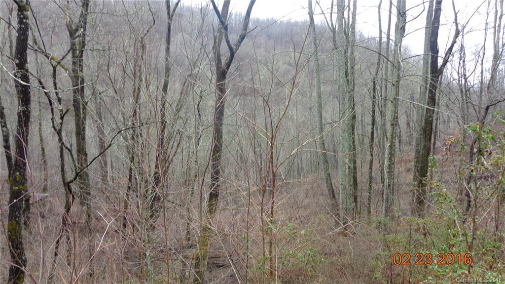 N/a North Fork Road Sylva, NC 28779 - Photo 1 of 7 Gallery Image 1
