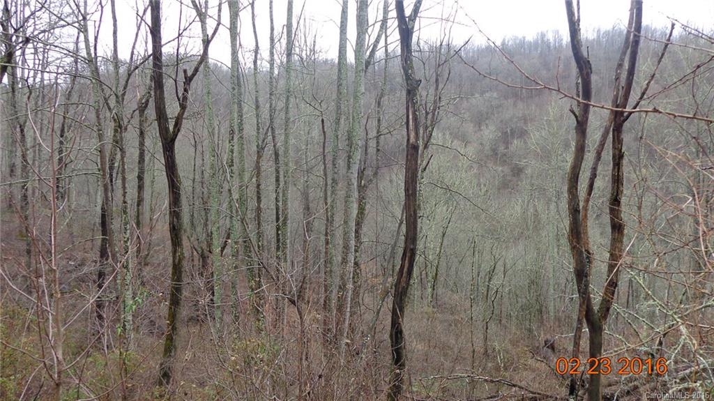 N/a North Fork Road Sylva, NC 28779 - Photo 2 of 7 Gallery Image 2