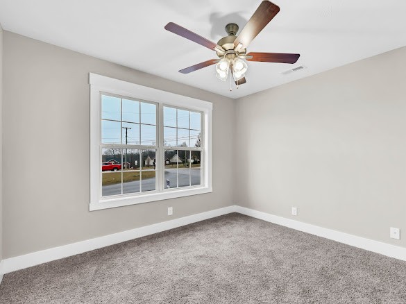 1783 Ridge Runner Court Clarksville, TN 37042 - Photo 19 of 37 Gallery Image 19